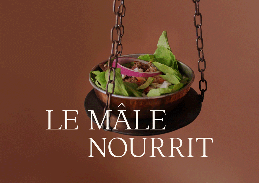 Le Mâle Nourrit