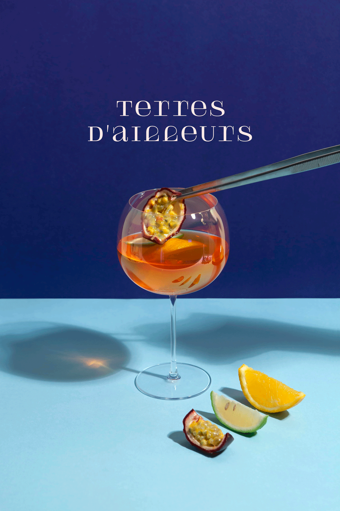 Terres d'Ailleurs